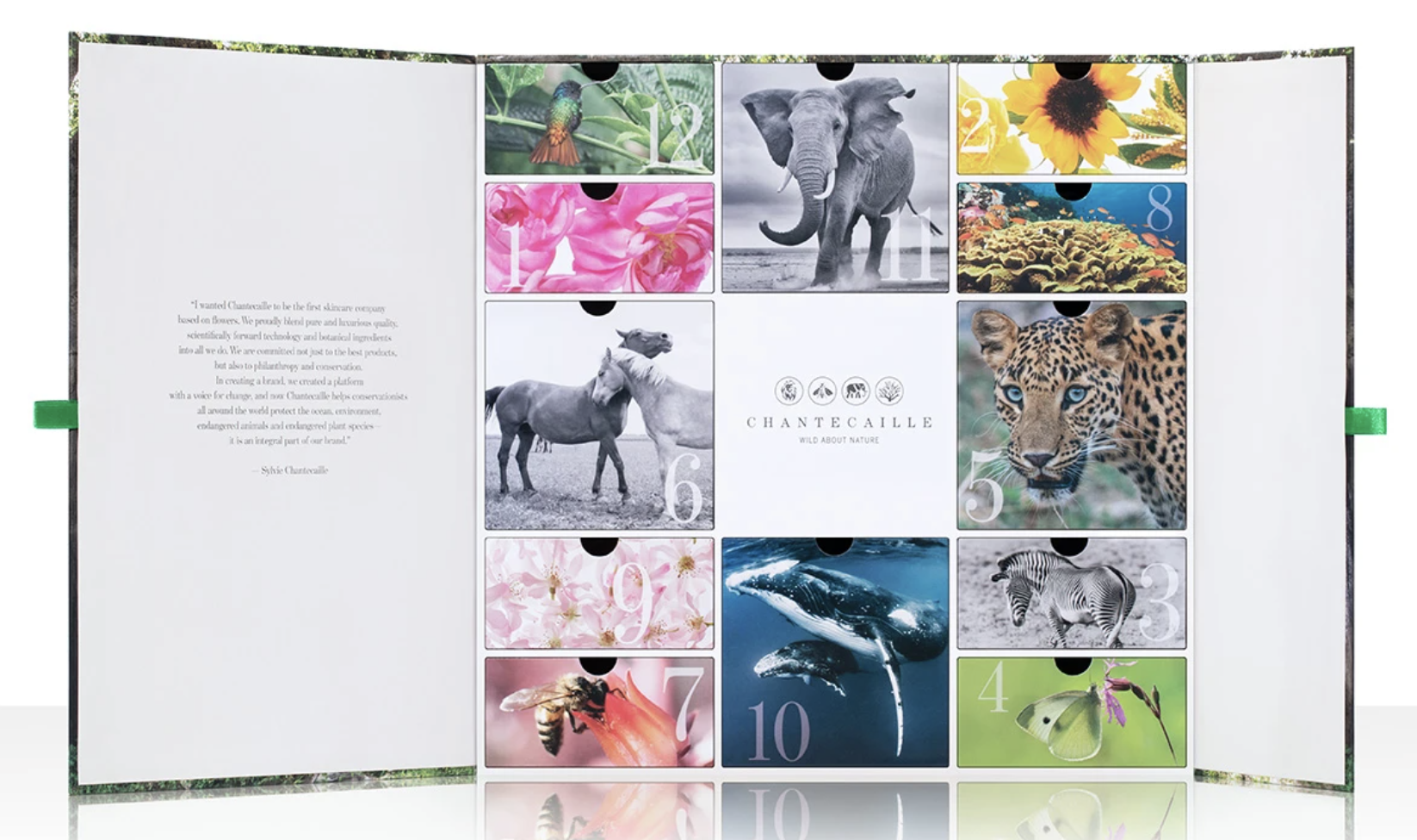 Chantecaille beauty calendar 2021